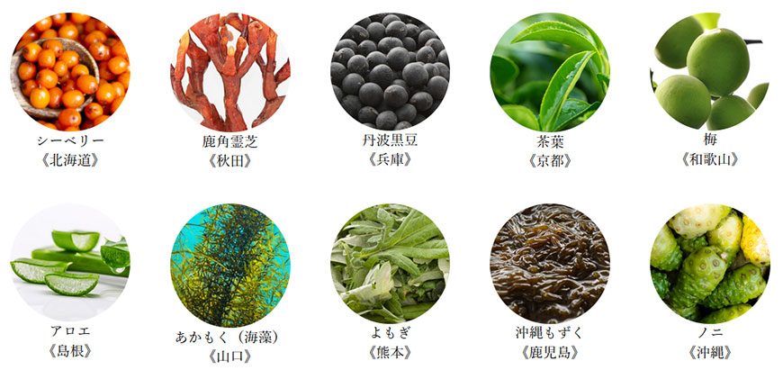 日本原産10種の植物エキス配合