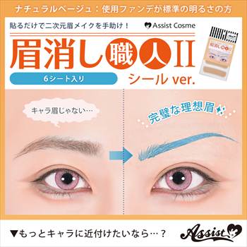 眉消し職人Ⅱ シールVer. ナチュラルベージュ 【お得】6シート入り
