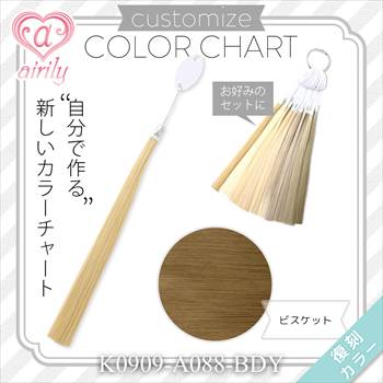 カスタマイズカラーチャート ビスケット