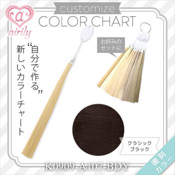 カスタマイズカラーチャート クラシックブラック