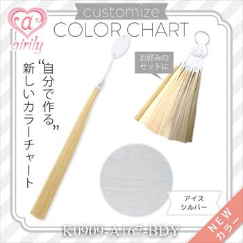 カスタマイズカラーチャート アイスシルバー